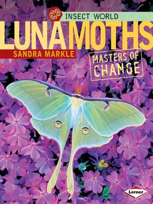 cover image of Luna Moths